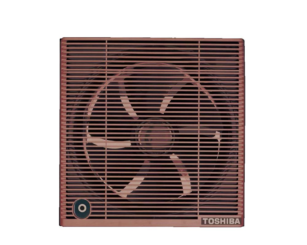 Bathroom ventilating Fan 30cm VRH30S1